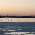 DSCF0015