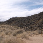 DSCF0960
