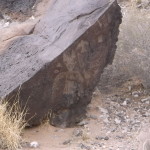 DSCF0965