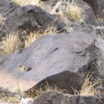 DSCF0985