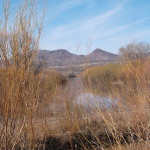 DSCF1017