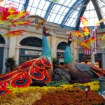 img_20171031_141053876