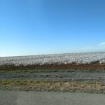 img_20171128_094722781