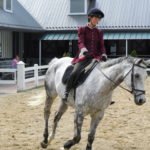 German heritage horse