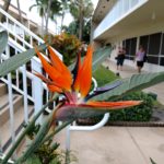 IMG_20191226_150132133