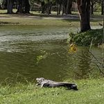 IMG_20200210_131051394