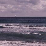 IMG_20201222_101212124