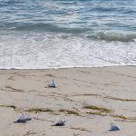IMG_20210210_092927268