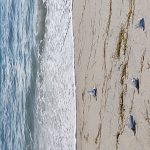 IMG_20210210_092927268