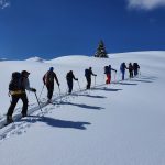 Walter Alpine ski uphill