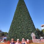 IMG_20211127_111147297_HDR