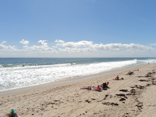 At the ocean this morning.
